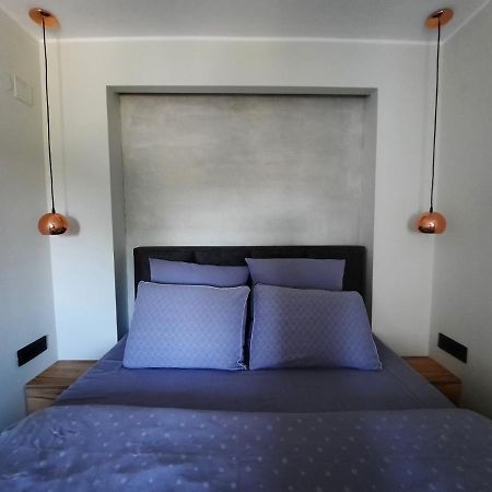 נובי סאד Apartment Pleasure Lux מראה חיצוני תמונה